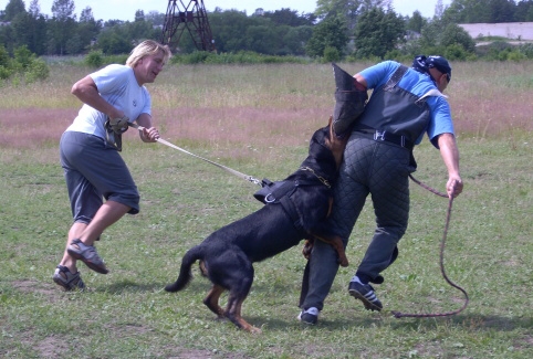 Training in Estonia 6/2007